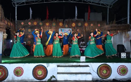 लोककला और लोकवाद्य के संरक्षण में रिखी का कार्य अनुकरणीय: चंद्राकर  