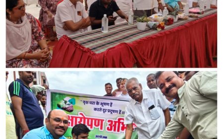 वृक्षारोपण अभियान में शामिल हुए रायपुर विकास प्राधिकरण अध्यक्ष साहू