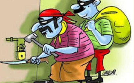 दक्षिण वसुंधरा नगर में दिनदहाड़े चोरी, घर सूना देख चोरों ने किया ताला तोड़कर माल पार