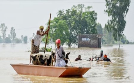 पंजाब में बाढ़ से फसलें, मकान सब तबाह, फिर भी 'चढ़दी कला में पंजाबी, एक कॉल पर जुटाए सवा करोड़ रुपए