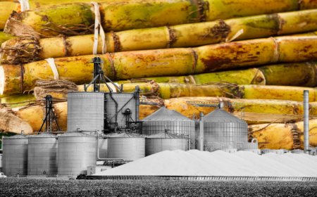 शुगर मिलों और डिस्टिलरी को गन्ने से एथेनॉल बनाने की पूरी अनुमति