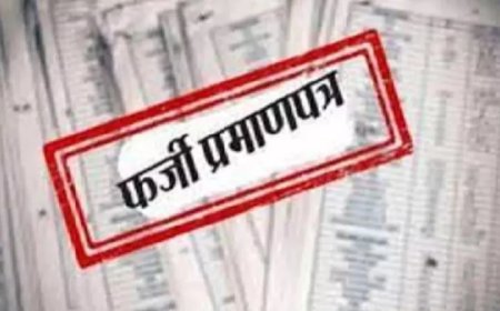 फर्जी ईडब्ल्यूएस प्रमाण पत्र घोटाला, तहसील में बवाल, कर्मचारियों पर आरोप-प्रत्यारोप, जांच में उलझता जा रहा मामला