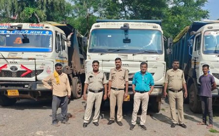 रेत, गिट्टी एवं मुरम के अवैध परिवहन पर खनिज विभाग की बड़ी कार्रवाई- 13 हाईवा जब्त