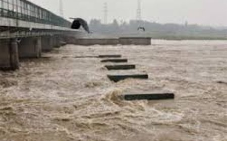 दिल्ली में बाढ़ ने मचाई तबाही, यमुना नदी का जलस्तर 207 मीटर के पार; निचले इलाकों में घुसा पानी