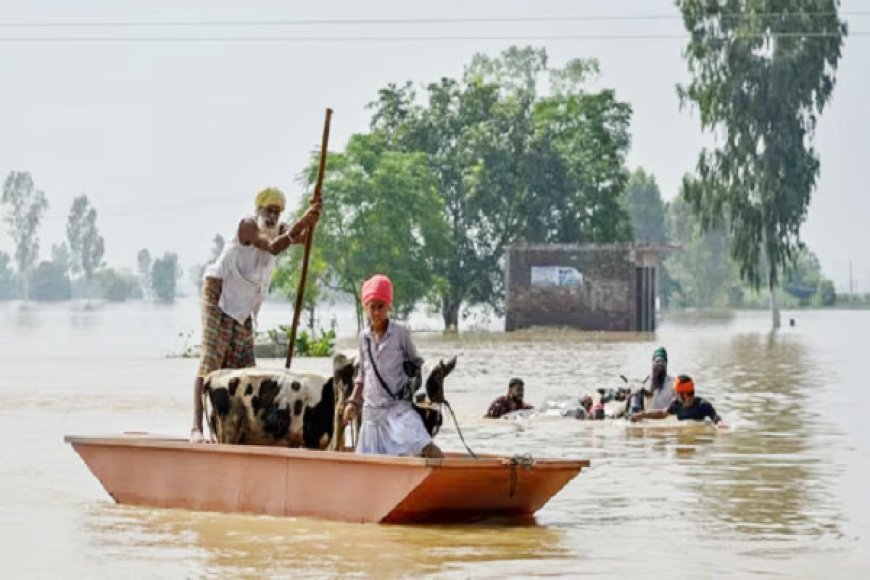 पंजाब में बाढ़ से फसलें, मकान सब तबाह, फिर भी 'चढ़दी कला में पंजाबी, एक कॉल पर जुटाए सवा करोड़ रुपए
