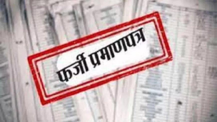 फर्जी ईडब्ल्यूएस प्रमाण पत्र घोटाला, तहसील में बवाल, कर्मचारियों पर आरोप-प्रत्यारोप, जांच में उलझता जा रहा मामला