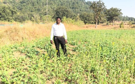 प्रधानमंत्री धन-धान्य कृषि योजना ने बदली किसानों की किस्मत