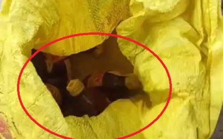 राजधानी रायपुर के गंज मंडी इलाके में कोचिए खुलेआम शराब की बिक्री कर रहे