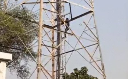 छत्तीसगढ़ के कोरबा जिले में पत्नी से विवाद के बाद शराब के नशे में धुत पति 200 फीट ऊंचे मोबाइल टावर पर चढ़ गया