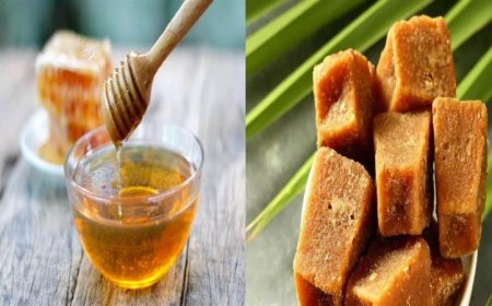 गुड़ और शहद से बढ़ेगा शुगर लेवल? डायबिटीज पर क्या असर बताता है आयुर्वेद