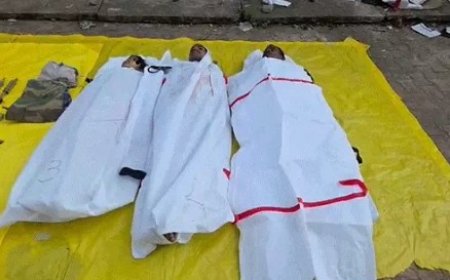 छत्तीसगढ़ के सुकमा जिले में सुरक्षाबलों को बड़ी सफलता मिली