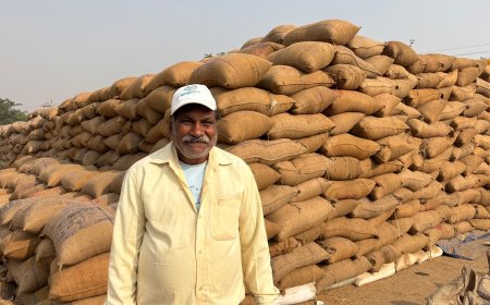 धान की बेहतर कीमत ने बढ़ाया किसान युगल का हौसला