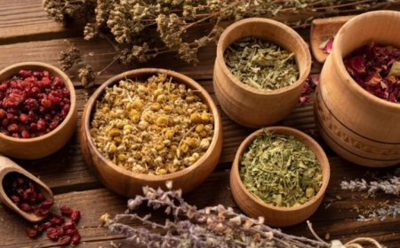 इन 8 जड़ी-बूटियों का सेवन करें, बीमारियों से लड़ने की शक्ति बढ़ेगी