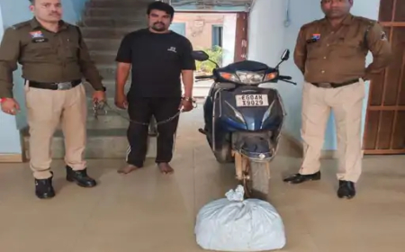 रायपुर के आरंग पुलिस ने 5 किलो अवैध गांजा, 2 मॉनिटर लिजर्ड (गोह) और 1 लाख 27 हजार 260 रुपए कैश के साथ एक आरोपी को गिरफ्तार किया