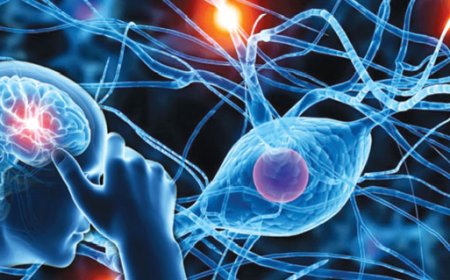 अगर दिख रहे हैं ये लक्षण तो हो सकती है दिमाग की नस कमजोर