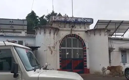 छत्तीसगढ़ के कोरबा जिले में एक युवती ने बॉयफ्रेंड के शक करने से परेशान होकर फांसी लगाकर आत्महत्या कर ली