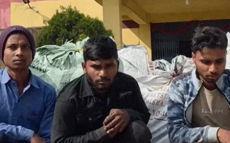 छत्तीसगढ़ के बलरामपुर जिले में पुलिस ने एक ट्रक से 12 क्विंटल गांजा जब्त किया