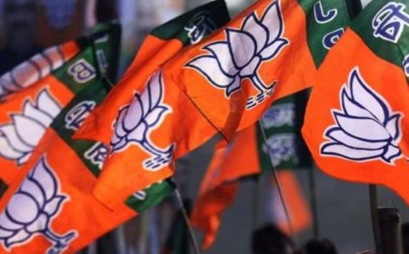 बीएमसी चुनाव के लिए बीजेपी ने जारी की 66 उम्मीदवारों की पहली सूची 