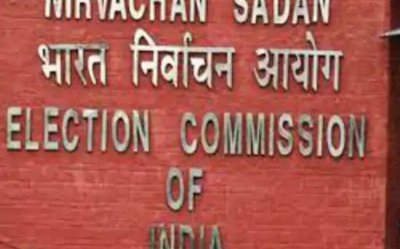 भारत निर्वाचन आयोग के निर्देश पर रायपुर जिले में विशेष गहन पुनरीक्षण (SIR) कार्यक्रम के तहत नो-मैपिंग (कैटेगरी-सी) मतदाताओं को नोटिस जारी किए जा रहे