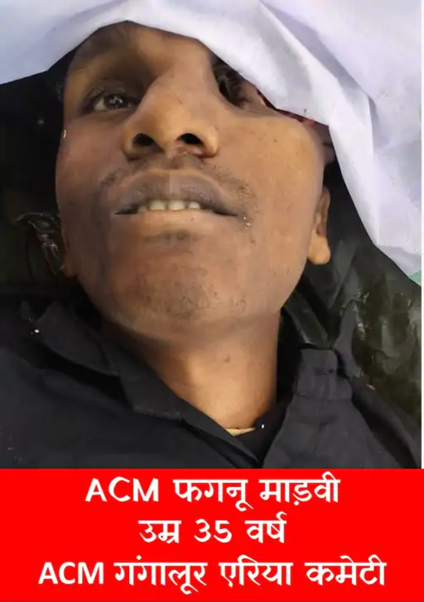 छत्तीसगढ़ के बीजापुर जिले के इंद्रावती इलाके में सुरक्षाबलों ने शुक्रवार को एक नक्सली को मार गिराया