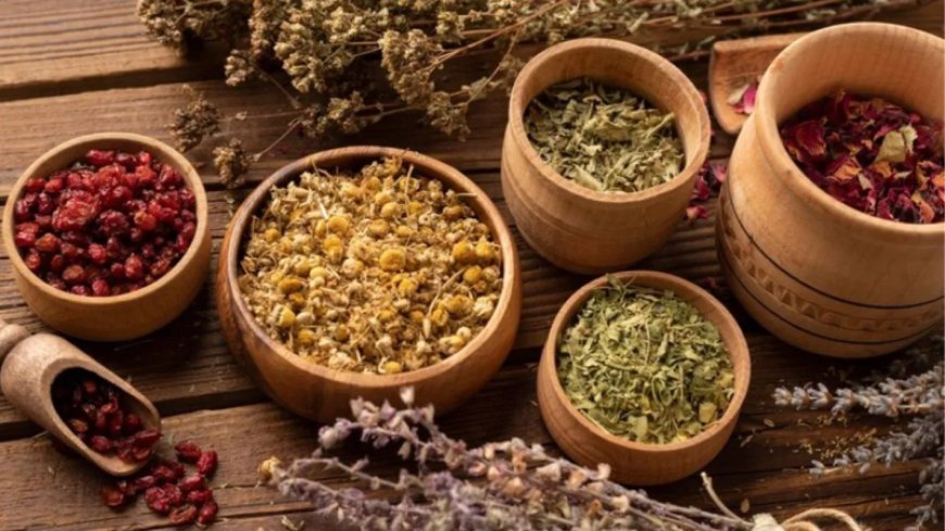 इन 8 जड़ी-बूटियों का सेवन करें, बीमारियों से लड़ने की शक्ति बढ़ेगी