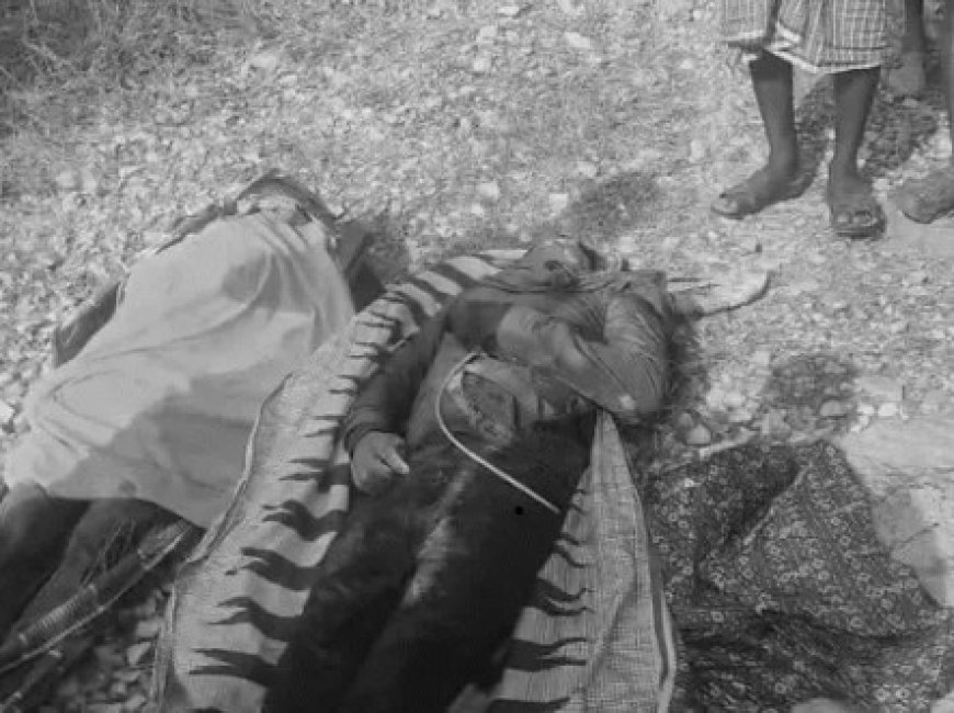 छत्तीसगढ़ के जशपुर में जंगली सूअर के शिकार के लिए बिछाए गए करंट की चपेट में आने से 2 युवकों की मौत