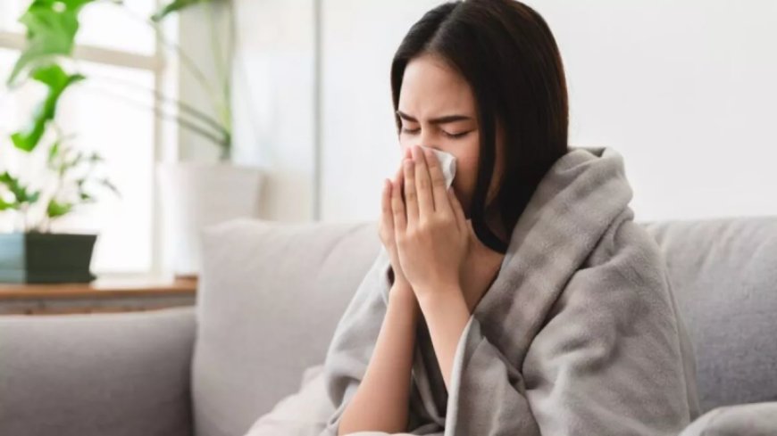 सर्दी में बार-बार बीमार पड़ते हैं? ये काम करेंगे तो इम्यूनिटी होगी जबरदस्त