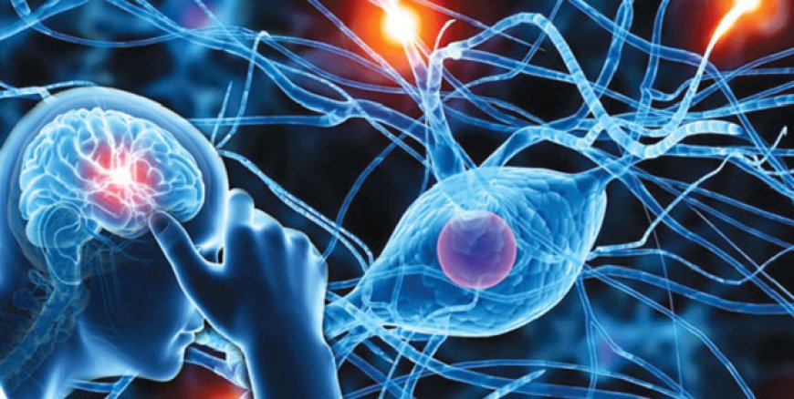अगर दिख रहे हैं ये लक्षण तो हो सकती है दिमाग की नस कमजोर