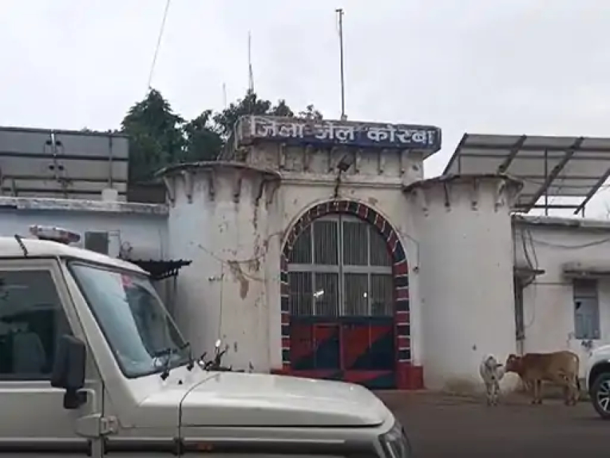 छत्तीसगढ़ के कोरबा जिले में एक युवती ने बॉयफ्रेंड के शक करने से परेशान होकर फांसी लगाकर आत्महत्या कर ली