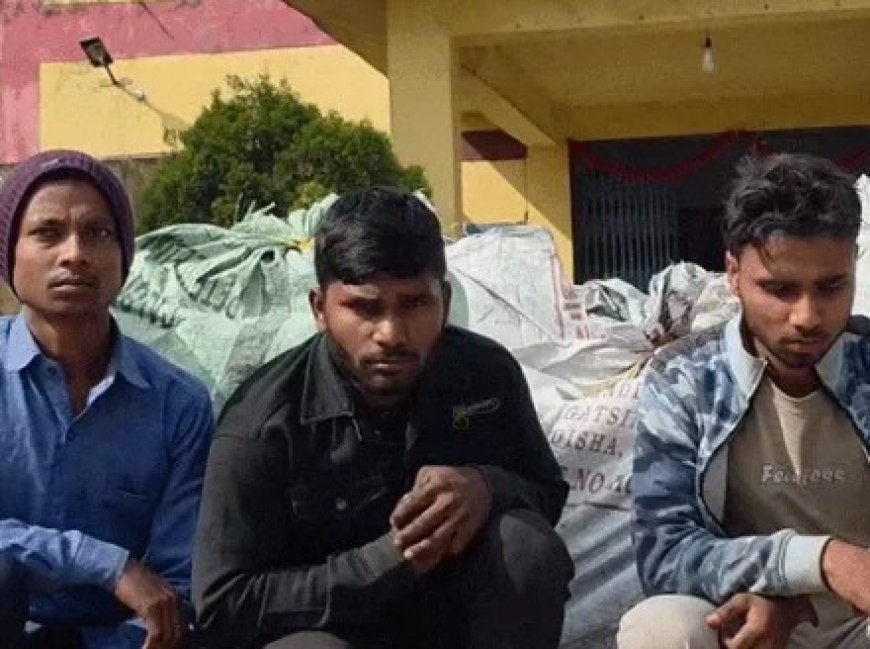 छत्तीसगढ़ के बलरामपुर जिले में पुलिस ने एक ट्रक से 12 क्विंटल गांजा जब्त किया