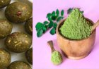 म्युनिटी बूस्ट के लिए घर पर बनाएं Moringa Laddu, ब्लड शुगर और कोलेस्ट्रॉल भी रहेगा कंट्रोल में