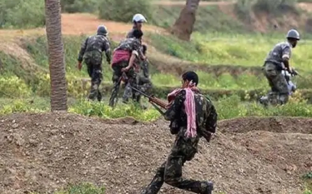 छत्तीसगढ़ में दो अलग-अलग जगहों पर मुठभेड़ में सुरक्षाबलों ने 14 नक्सलियों को मार गिराया