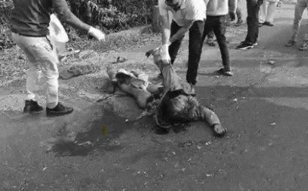 दुर्ग जिले में ट्रक पर चढ़कर स्टंट दिखाने वाले एक युवक की गिरकर मौत