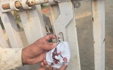 रायपुर नगर निगम ने टैक्स नहीं चुकाने वाले बड़े बकायादारों पर सख्त कार्रवाई की