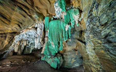 कांगेर घाटी में मिली अनोखी “ग्रीन गुफा”