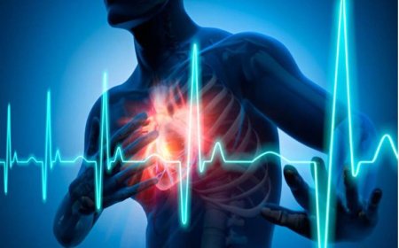 युवाओं के लिए अलार्म: ये दो आम आदतें बढ़ा रही हैं दिल की बीमारियों का खतरा, हार्ट अटैक से बचने के लिए तुरंत सुधार करें