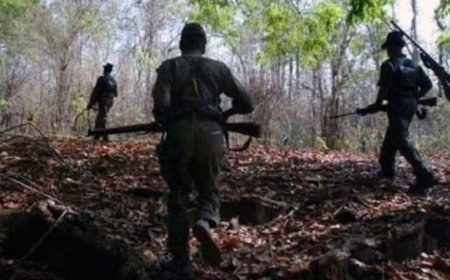 Chhattisgarh Encounters: Maoists Gunned Down as Security Forces Intensify Anti-Insurgency Operations