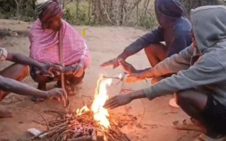 हिमालय से आ रहीं ठंडी हवाओं ने छत्तीसगढ़ में ठंड बढ़ा दी