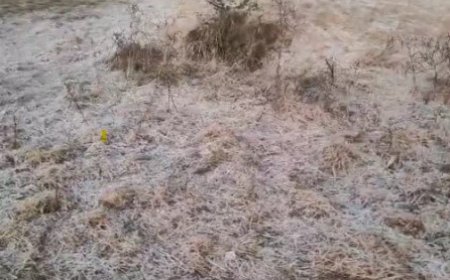 छत्तीसगढ़ के सरगुजा संभाग में जबरदस्त ठंड पड़ रही