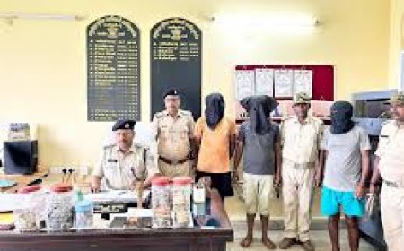 इंटेलिजेंस टिप-ऑफ पर पुलिस ने किया ड्रग डीलर गिरफ्तार