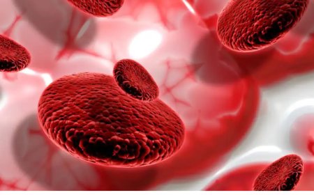 क्या सिर्फ हेल्दी फूड खाने से साफ हो जाती हैं खून की नसें? 99 पर्सेंट लोग कर बैठते हैं ये गलतियां