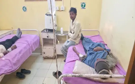 बलरामपुर जिले के डिंडो ग्राम पंचायत में कोदो भात खाने से एक ही परिवार के नौ सदस्य बीमार पड़ गए