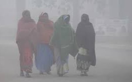 छत्तीसगढ़ में ठंड का असर अभी बना हुआ