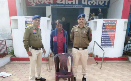 बलौदाबाजार के पलारी थाना क्षेत्र के ग्राम गिर्रा में शासकीय जमीन से अतिक्रमण हटाने के दौरान एक युवक ने ग्रामीण पर धारदार हथियार से हमला कर दिया