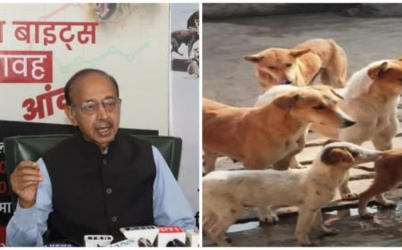 आवारा कुत्तों पर SC की टिप्पणियों का गोयल ने किया स्वागत, बोले- आवारा कुत्तों को खाना डालने वालों के खिलाफ FIR की जाए दर्ज