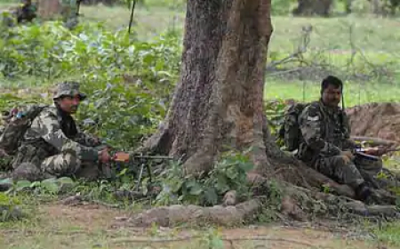 बीजापुर के नेशनल पार्क के जंगलों में सुरक्षाबलों और नक्सलियों के बीच मुठभेड़ जारी