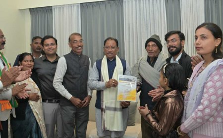 मुख्यमंत्री विष्णुदेव साय ने पीएम सूर्यघर मुफ्त बिजली योजना के अंतर्गत स्थापित सोलर सिस्टम का किया निरीक्षण