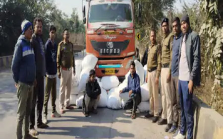 छत्तीसगढ़ के महासमुंद जिले में सोमवार को ANTF (एंटी नारकोटिक्स टास्क फोर्स) और पुलिस ने 4.75 करोड़ रुपए का गांजा जब्त किया