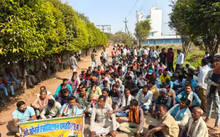 छत्तीसगढ़ के धमतरी में ऑटो ओनर्स एसोसिएशन ने अपनी सात सूत्रीय मांगों को लेकर कलेक्ट्रेट का घेराव किया