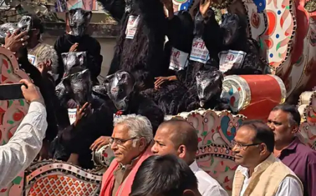 छत्तीसगढ़ में सरकारी गोदामों से धान गायब होने के मामले को लेकर कांग्रेस ने मंगलवार को अनोखा विरोध प्रदर्शन किया